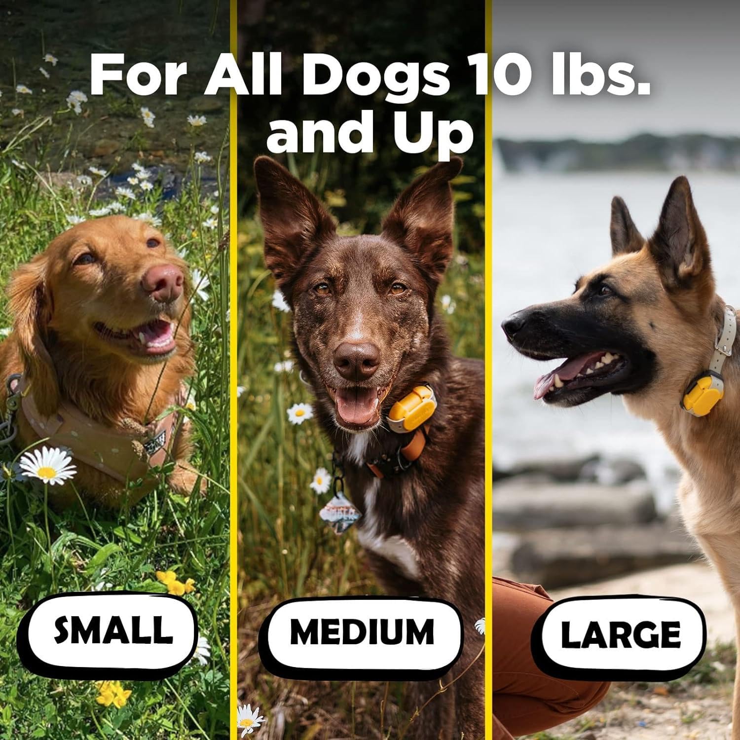 Dogtra CUE Yellow: diseño compacto para comodidad durante caminatas
