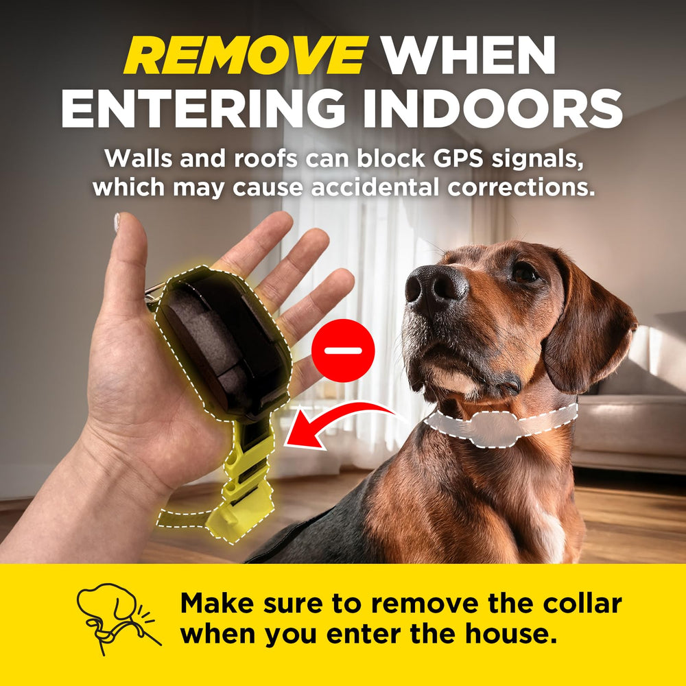 Dogtra GPS Fence: collar impermeable y listo para uso exterior.