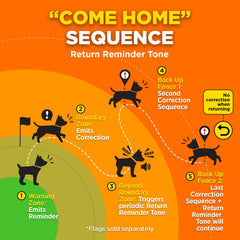 Dogtra GPS Fence: collar recargable, entrenamiento sencillo y fiable.