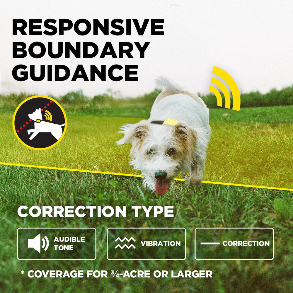 Dogtra GPS Fence: seguro para perros de 15 libras o más.