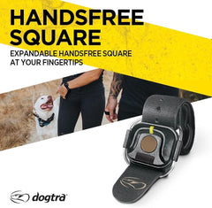 Dogtra HANDSFREE Square en la palma para entrenamiento manos libres.