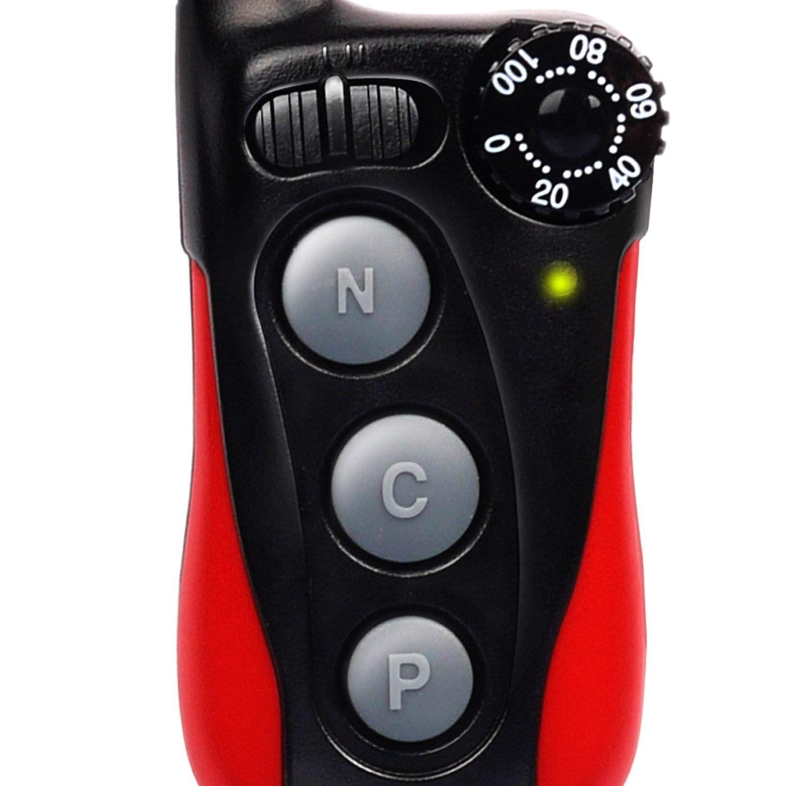 Dogtra iQ Plus kit expandible para dos perros durante la sesión.