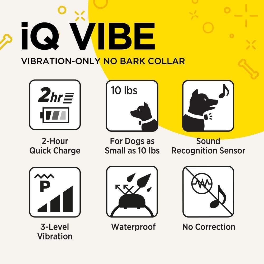 Dogtra iQ Vibe: receptor recargable para uso diario