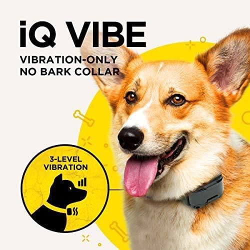 Dogtra iQ Vibe: vibración ajustable para adaptar la intensidad al perro