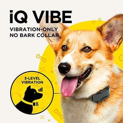 Dogtra iQ Vibe: vibración ajustable para adaptar la intensidad al perro