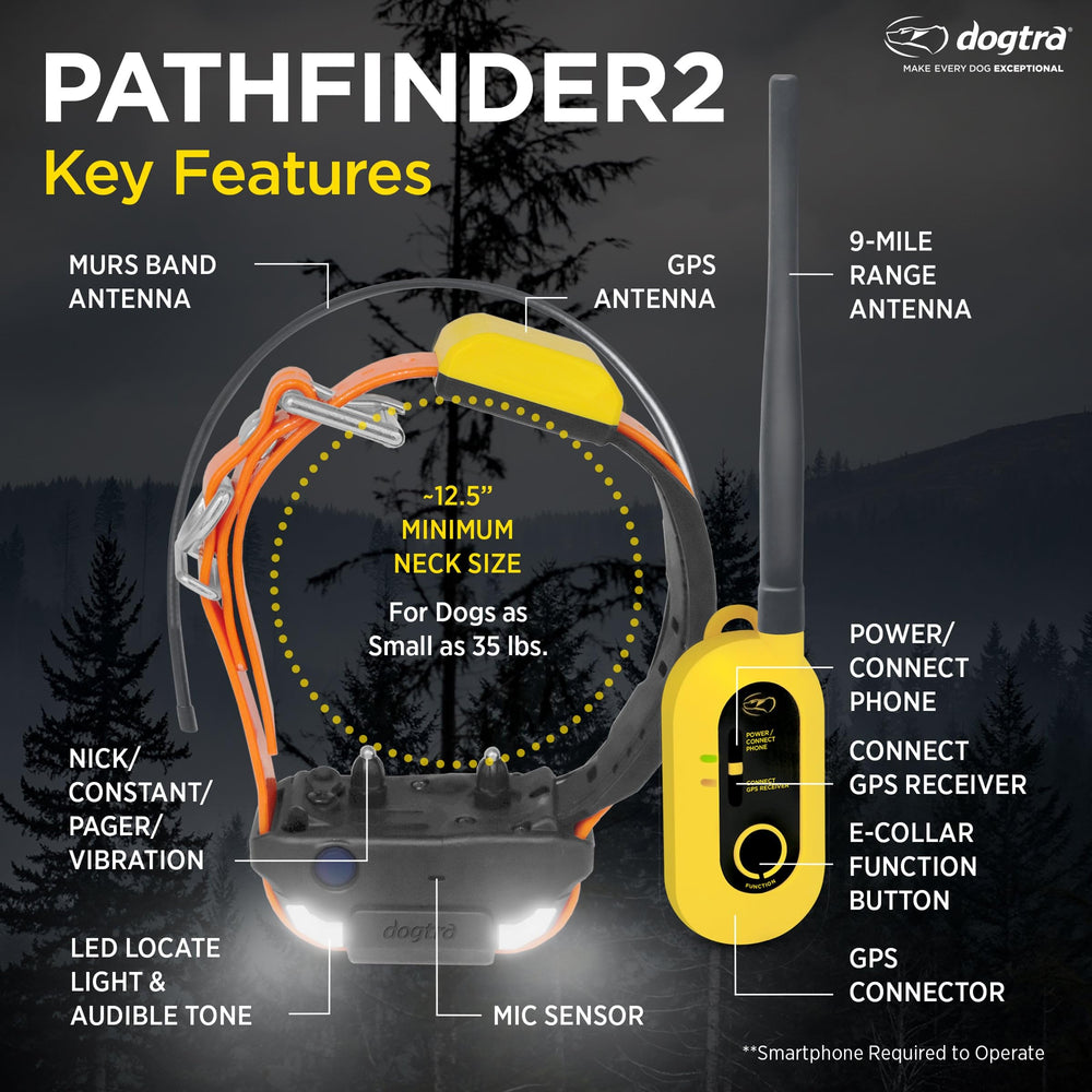 Dogtra Pathfinder 2 con collar GPS facilita localizar a tu perro fácilmente