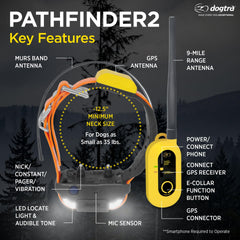 Dogtra Pathfinder 2 con collar GPS facilita localizar a tu perro fácilmente