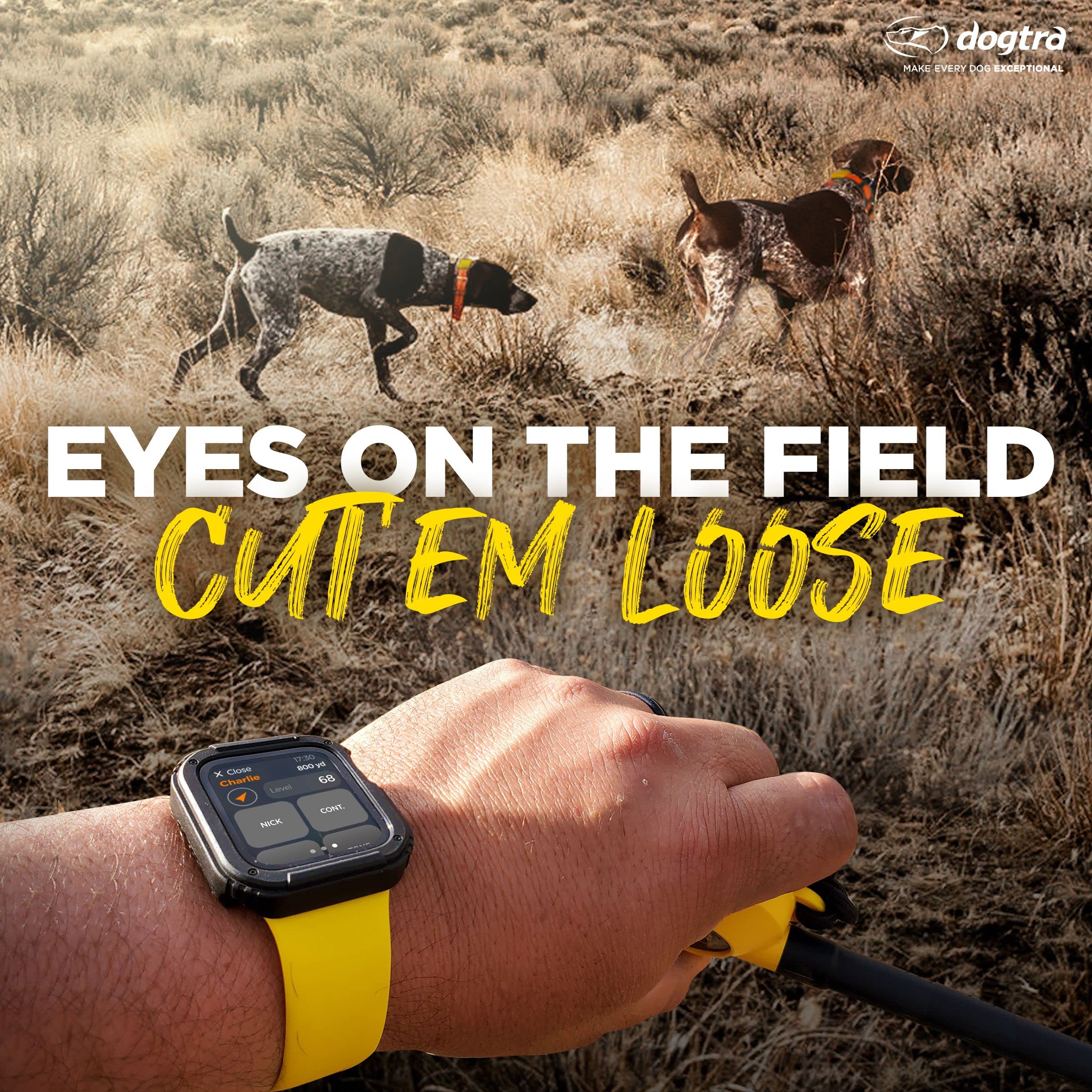 Dogtra Pathfinder 2 LED Locate para localizar rápido tu perro
