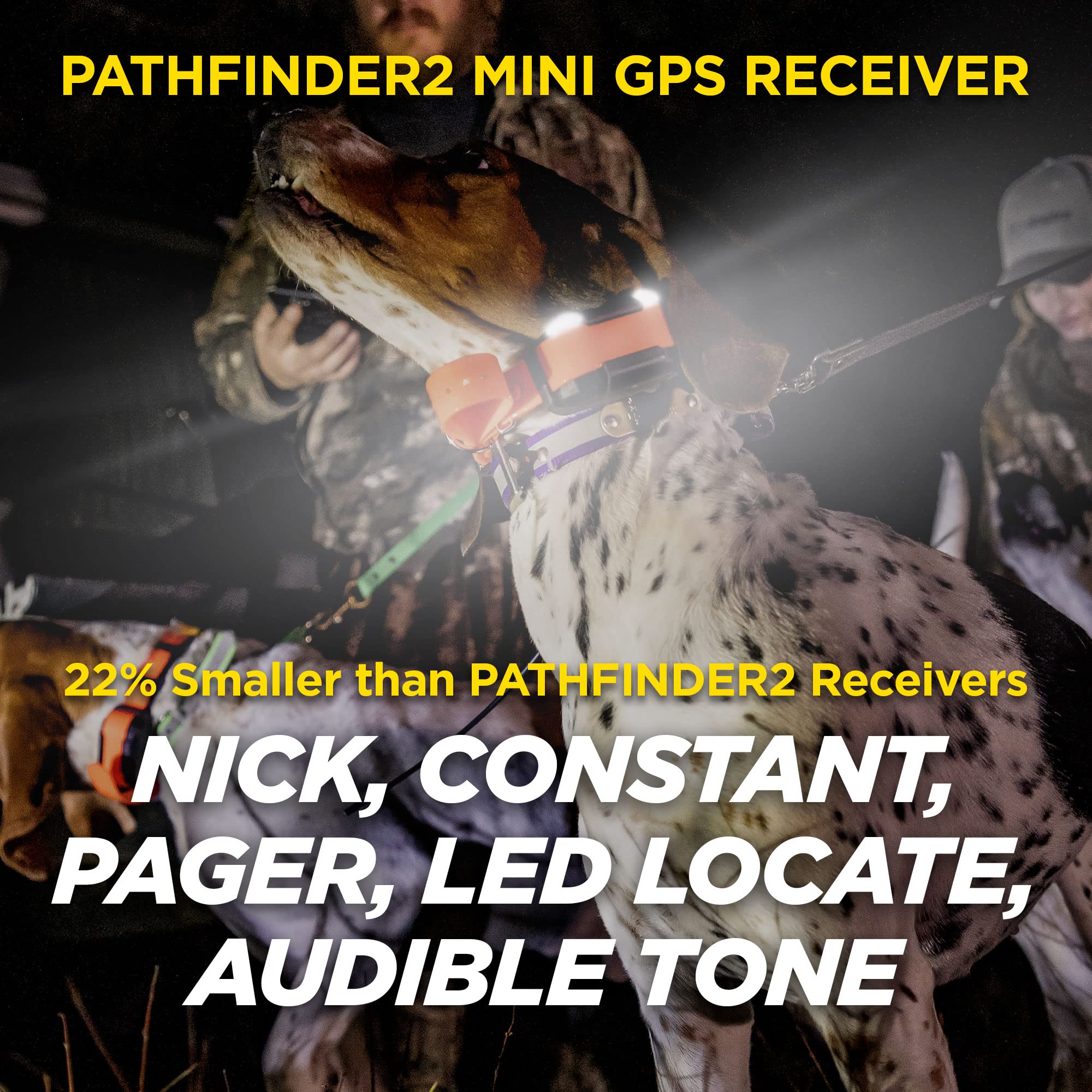 Dogtra PATHFINDER2 Mini: app gratuita con mapas sin suscripción