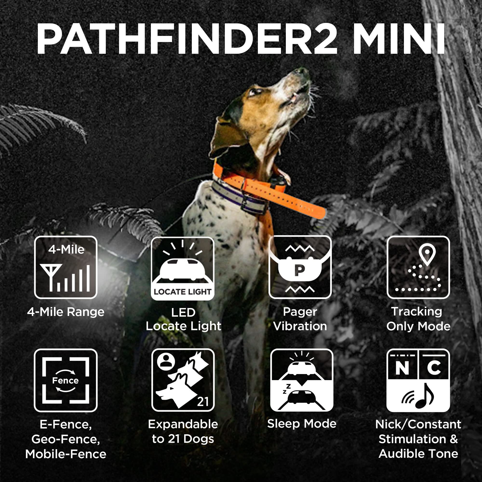 Dogtra PATHFINDER2 Mini: control desde reloj inteligente para seguimiento cómodo