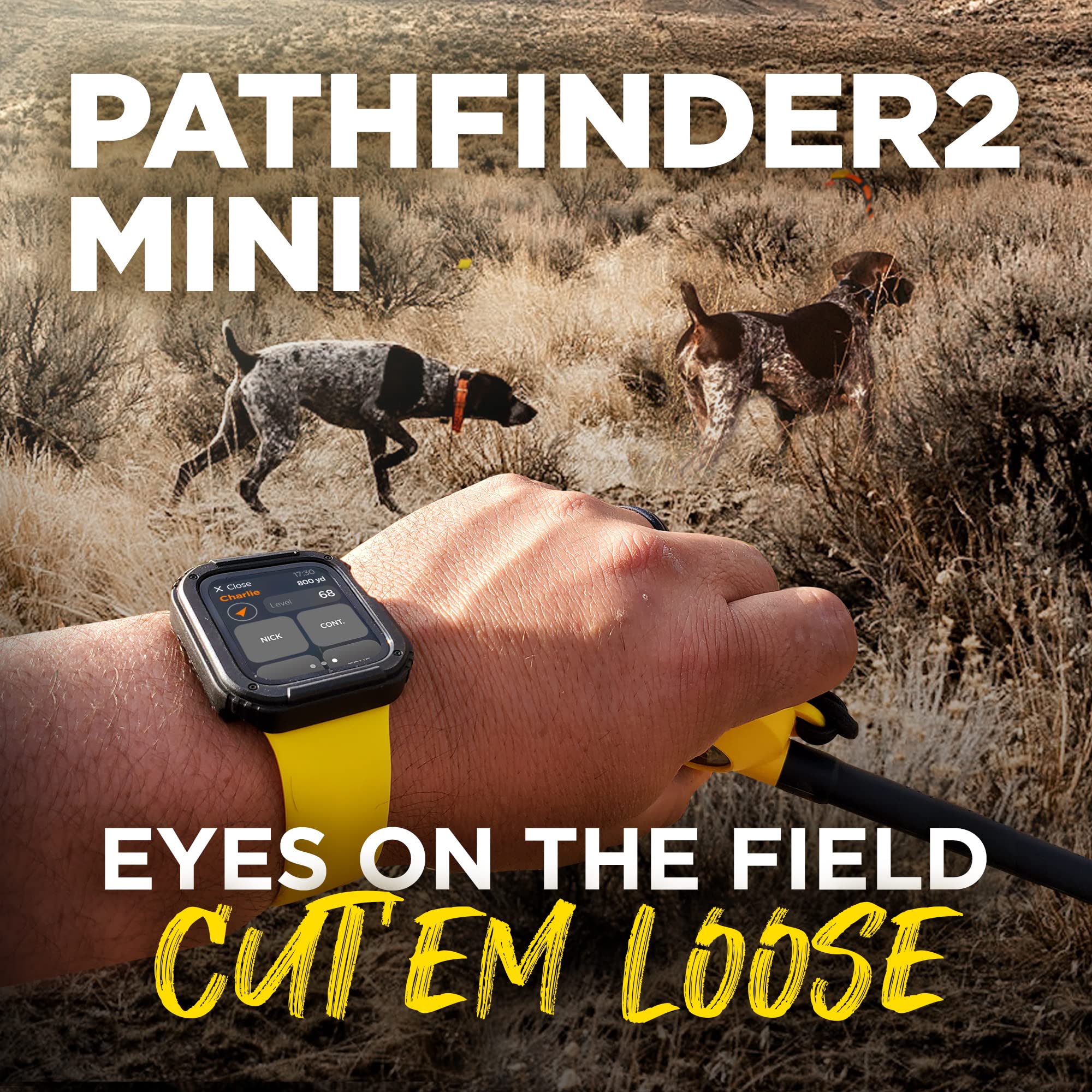 Dogtra PATHFINDER2 Mini: modos de corrección y tono audible para entrenamiento