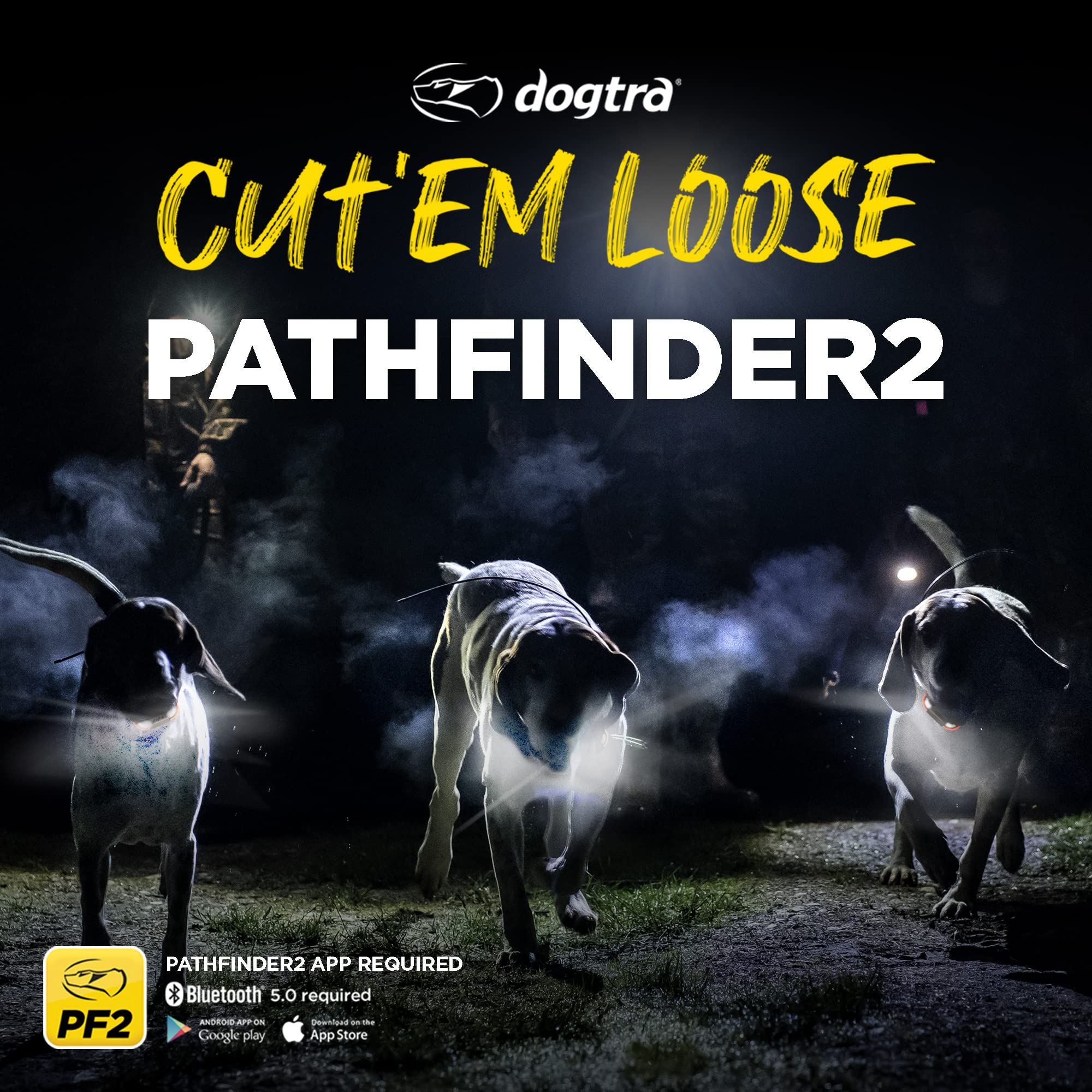 Dogtra Pathfinder 2 es resistente al agua para uso en lluvia o charcos