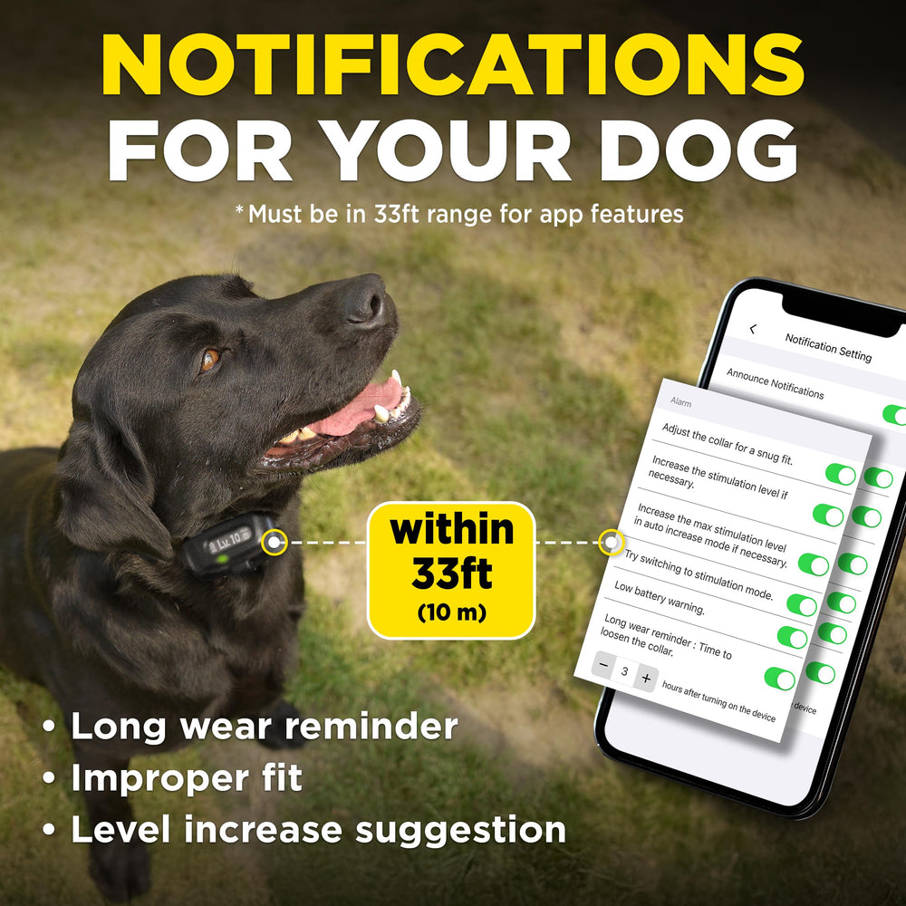 Dogtra Smart NOBARK contactos removibles para mayor comodidad.