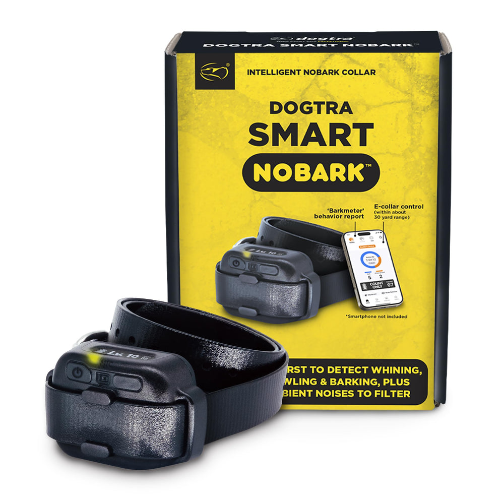 Dogtra Smart NOBARK con detección triple de ladridos en acción, precisión.