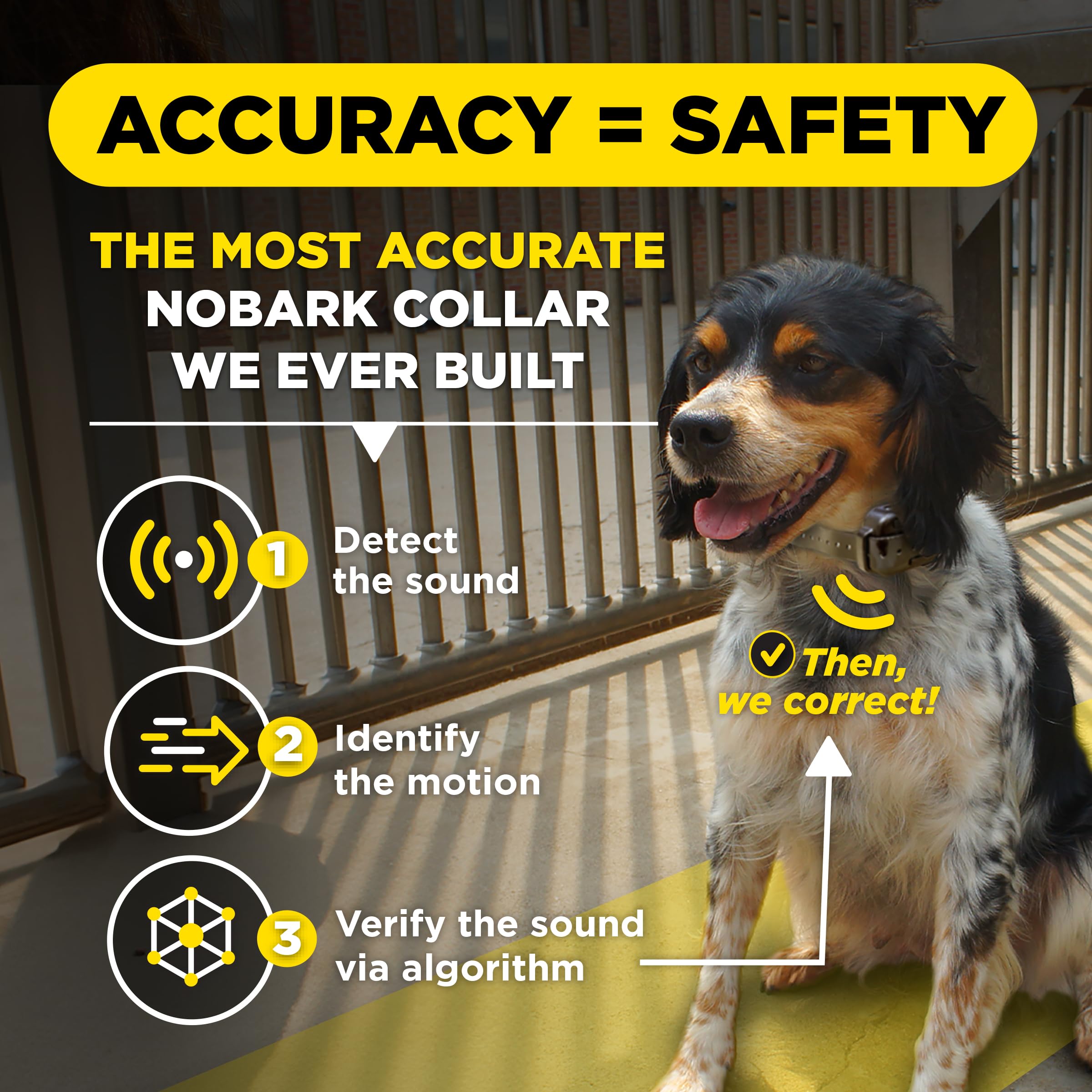 Dogtra Smart NOBARK collar electrónico compacto para perros pequeños.