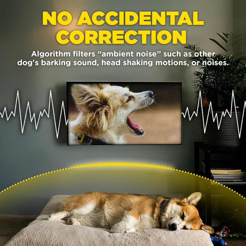 Dogtra Smart NOBARK ofrece modos de corrección versátiles y seguros.