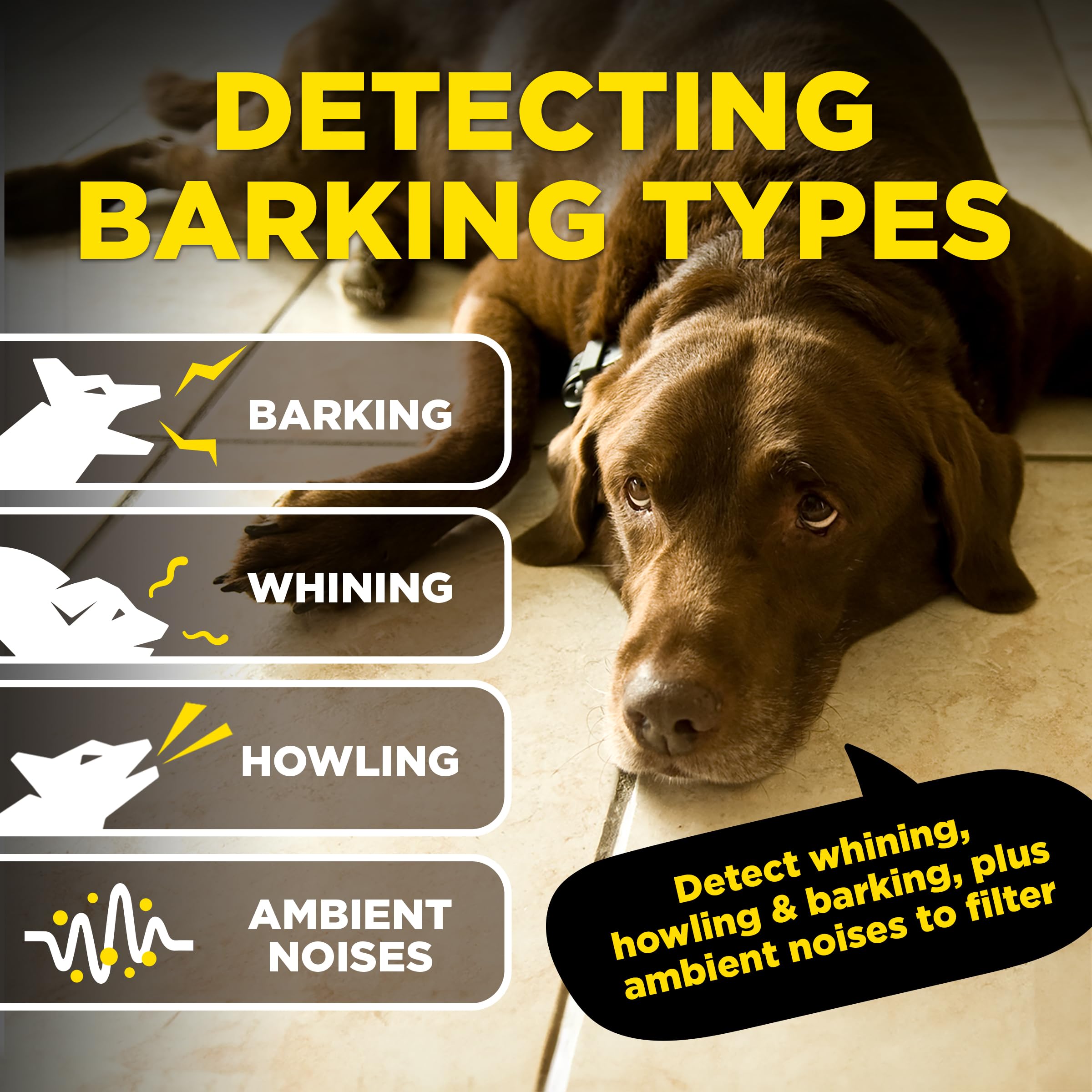 Dogtra Smart NOBARK: notificaciones en la aplicación para entrenamiento eficiente.