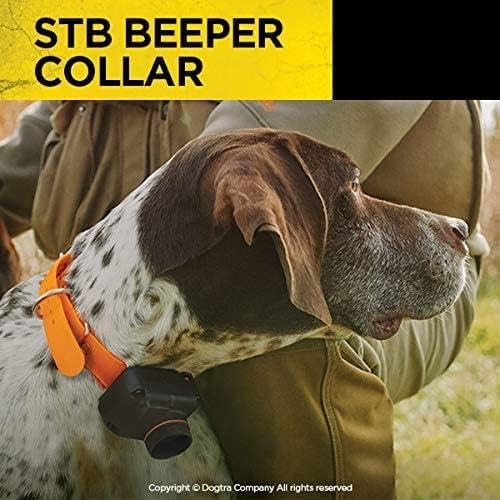 Dogtra STB Beeper Collar resistente IPX9K para condiciones extremas