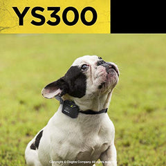 Dogtra YS300 carga-bateria-rapida, recarga en dos horas para continuar el entrenamiento.
