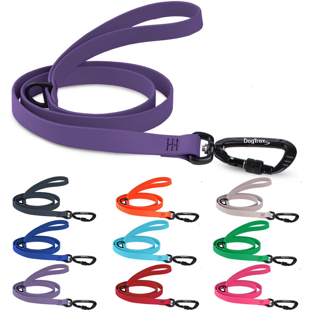 DogTraxs Correa Esencial de 5 pies morada para paseos seguros y confiables.