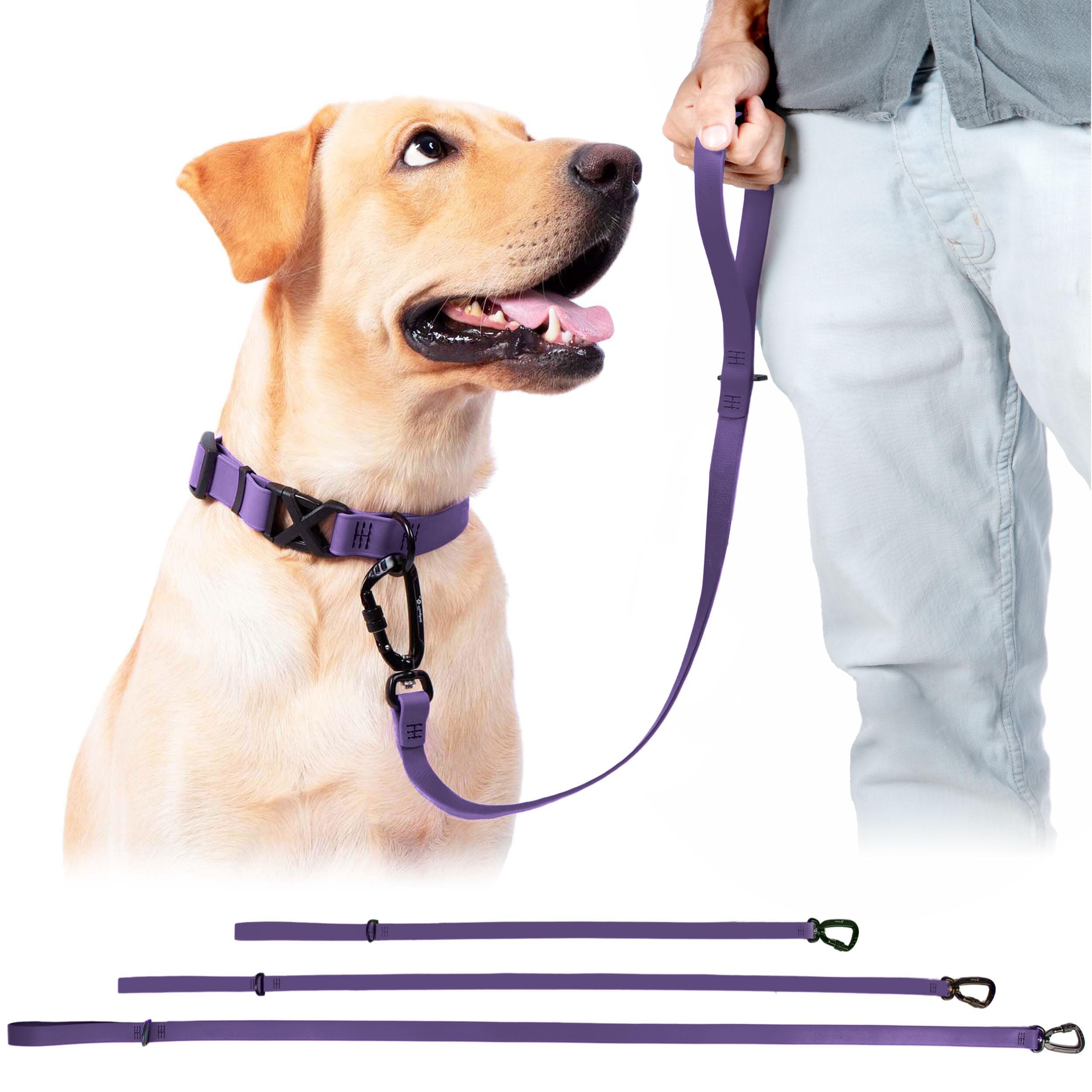 DogTraxs Mosquetón auto-cierre para sujeción confiable.