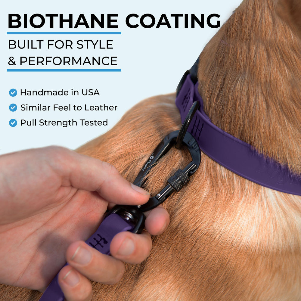 DogTraxs Biothane olor-resistente e impermeable para uso en exteriores.