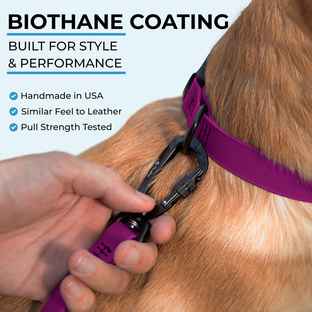 DogTraxs Biothane resistente a olores y al agua, fácil de limpiar.
