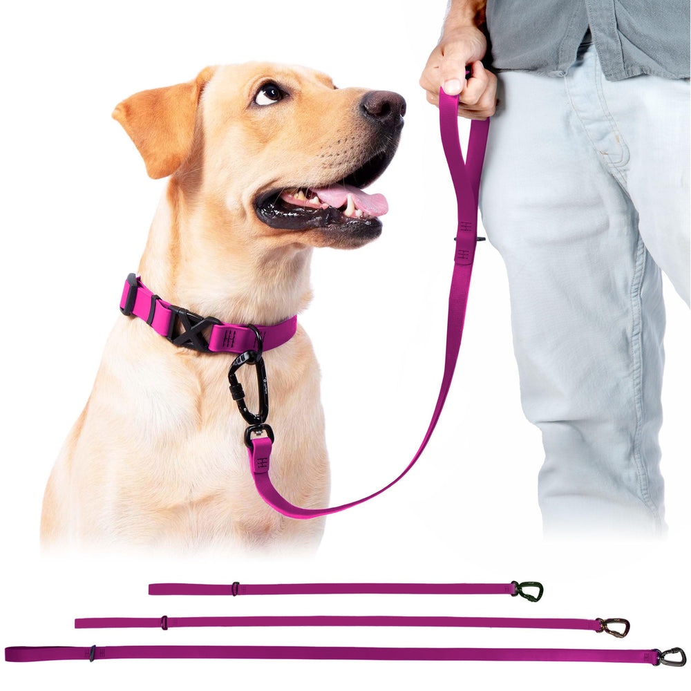 DogTraxs carabina giratoria con bloqueo, apta para collar o arnés.