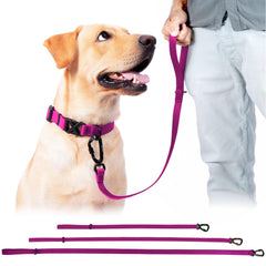DogTraxs carabina giratoria con bloqueo, apta para collar o arnés.