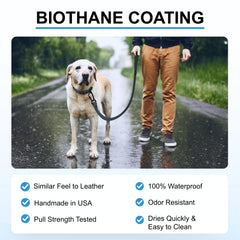 DogTraxs correa resistente a olores y agua para uso diario.