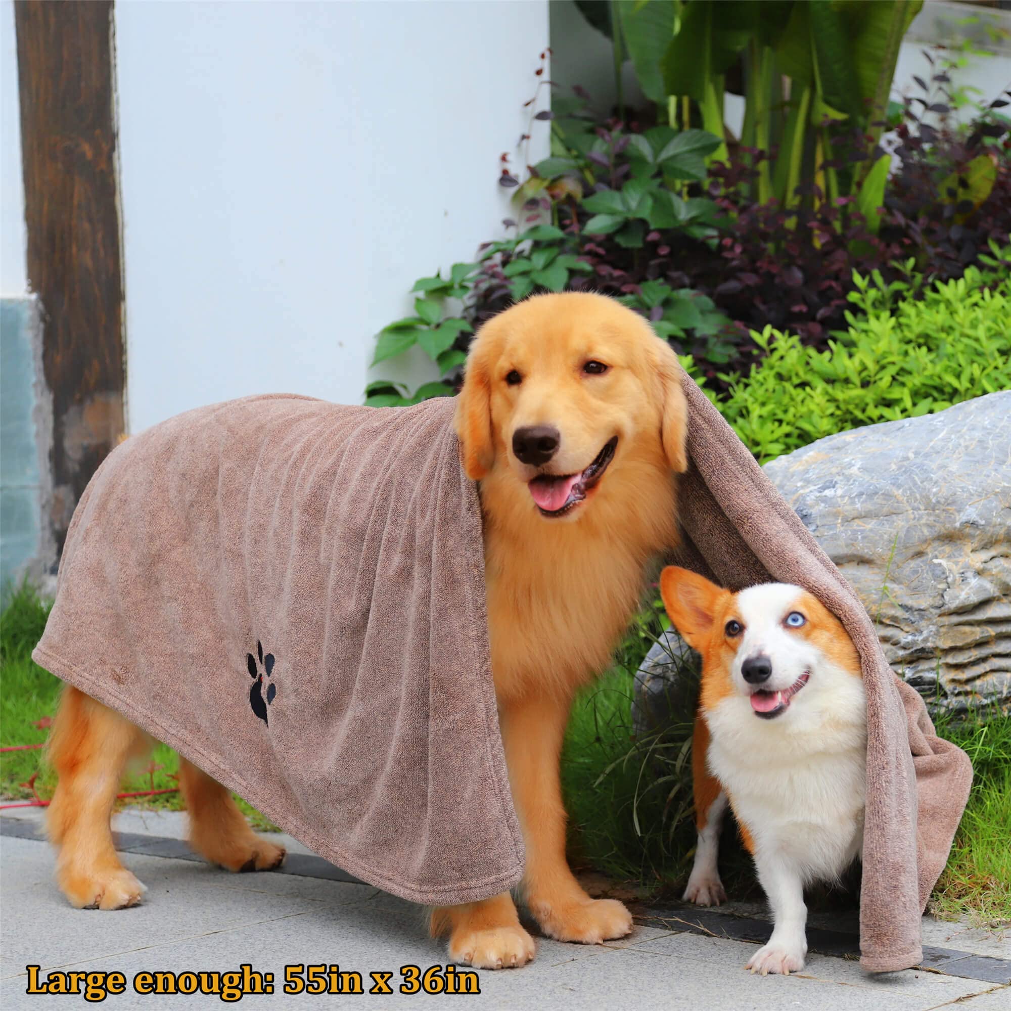 Dogvingpk: toalla-perro-camping-viaje perfecta para uso al aire libre.