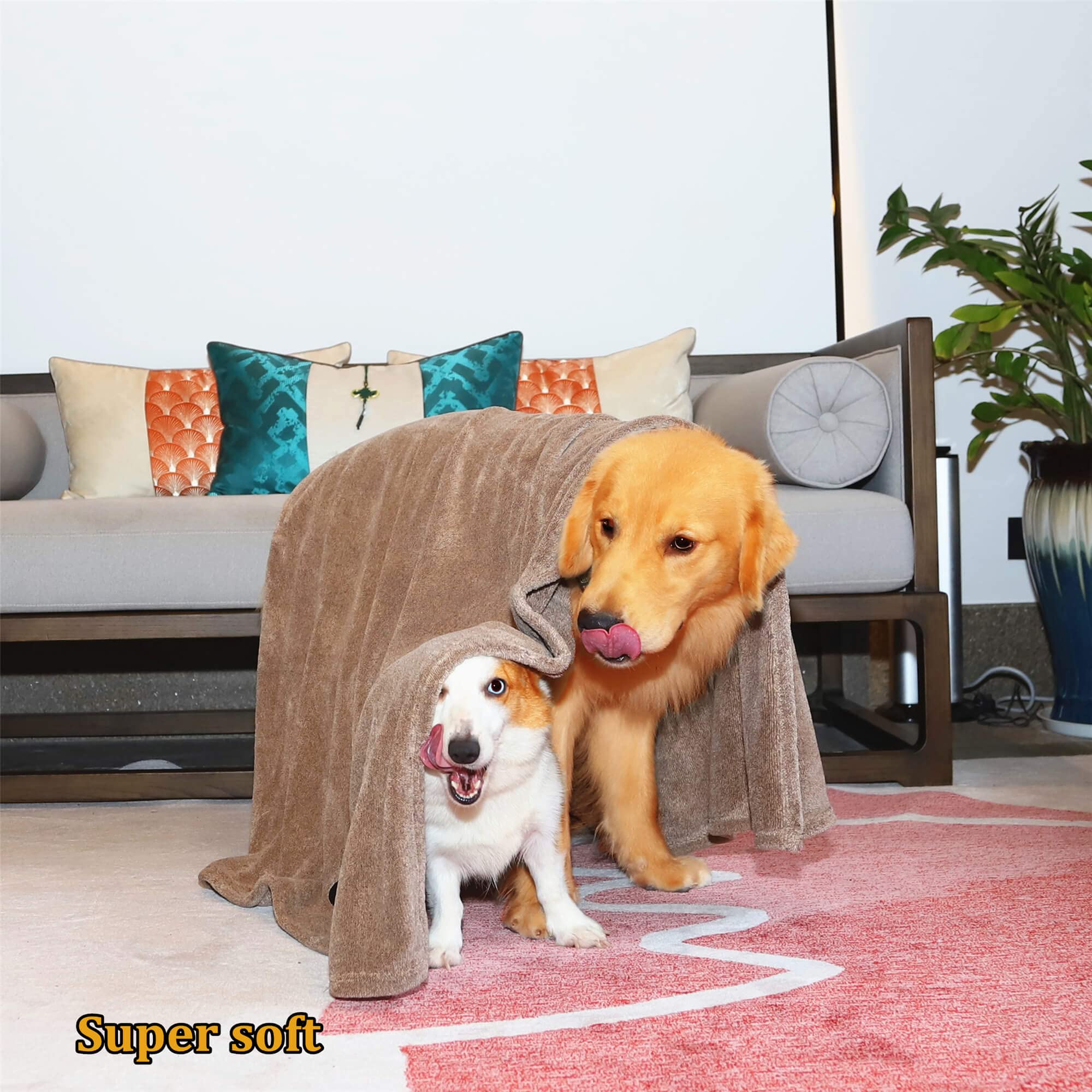 Dogvingpk: toalla-perro-doble-funcion sirve como toalla y manta suave.