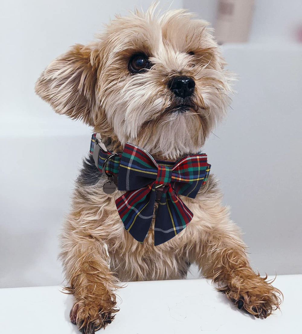 DOGWONG collar ajustable para perros de todos los tamaños