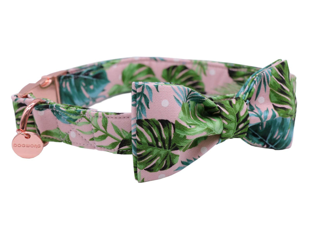Collar DOGWONG ajustable para perros pequeños, cómodo y seguro