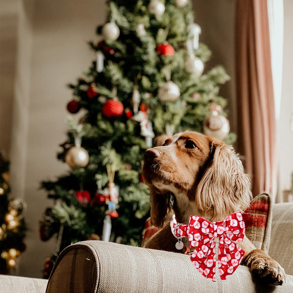 DogWong collar algodón ajustable; cómodo y duradero para perros de todos tamaños.