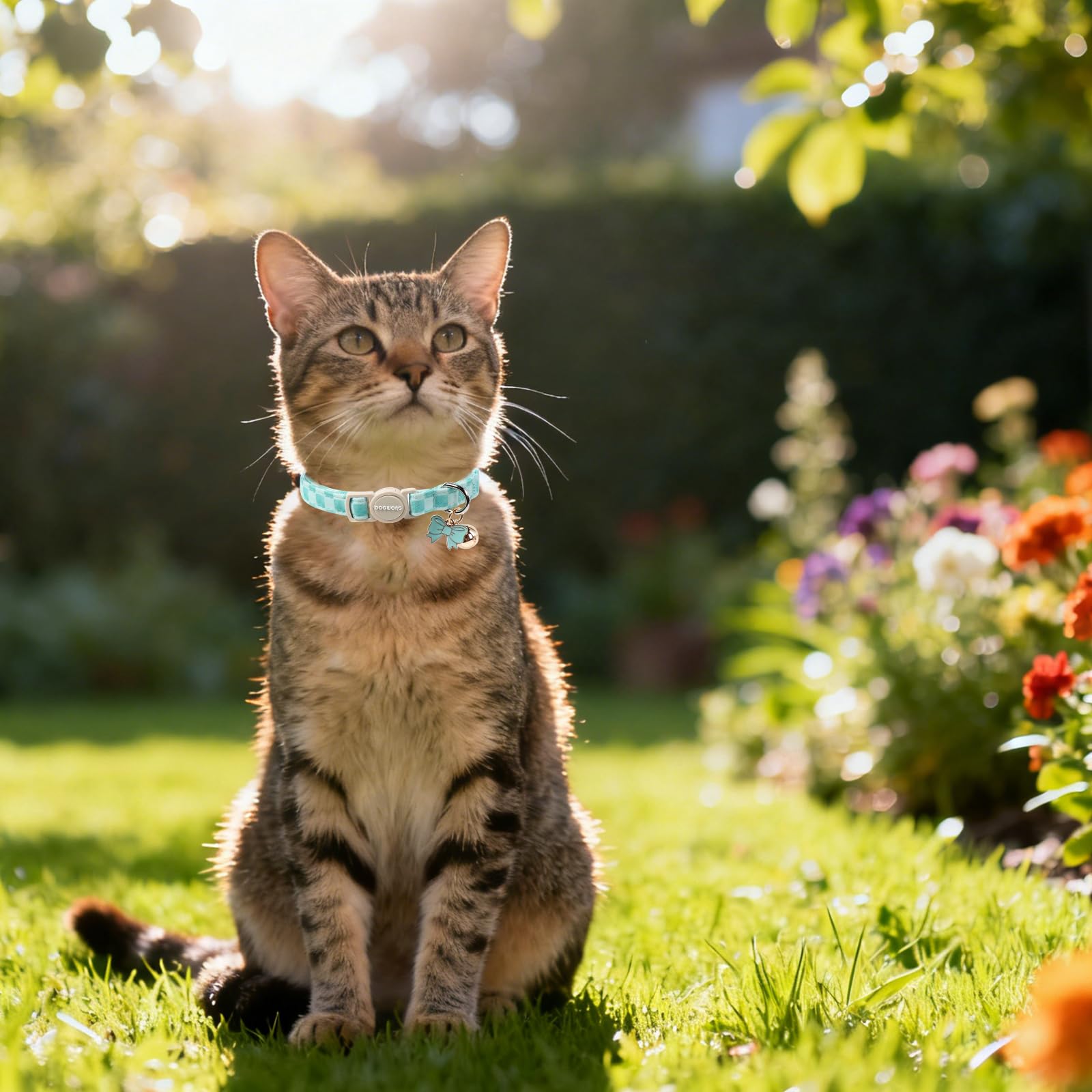 DOGWONG collar de algodón suave, piel del gato protegida y cómoda