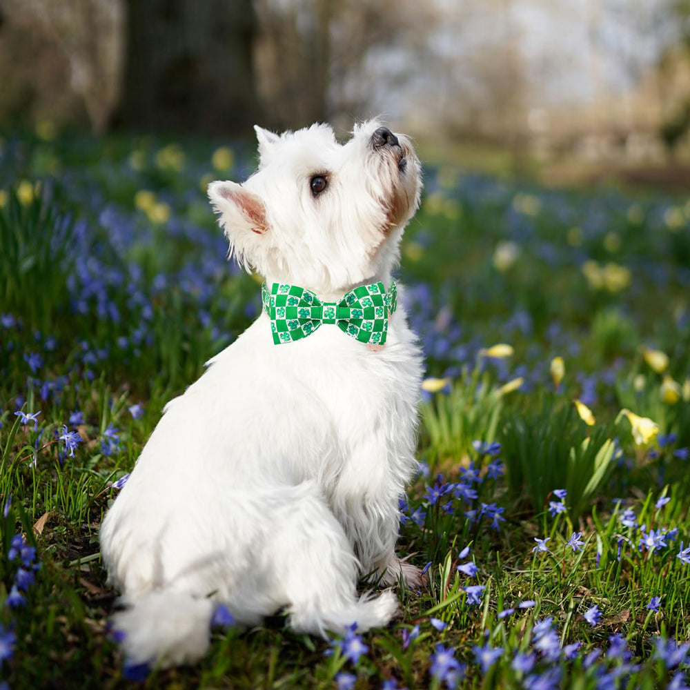 Collar DOGWONG con lazo verde tipo moño, estilo festivo