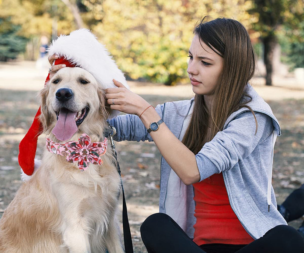 Collar DOGWONG detalle hombre-jengibre; toque divertido para paseos navideños.