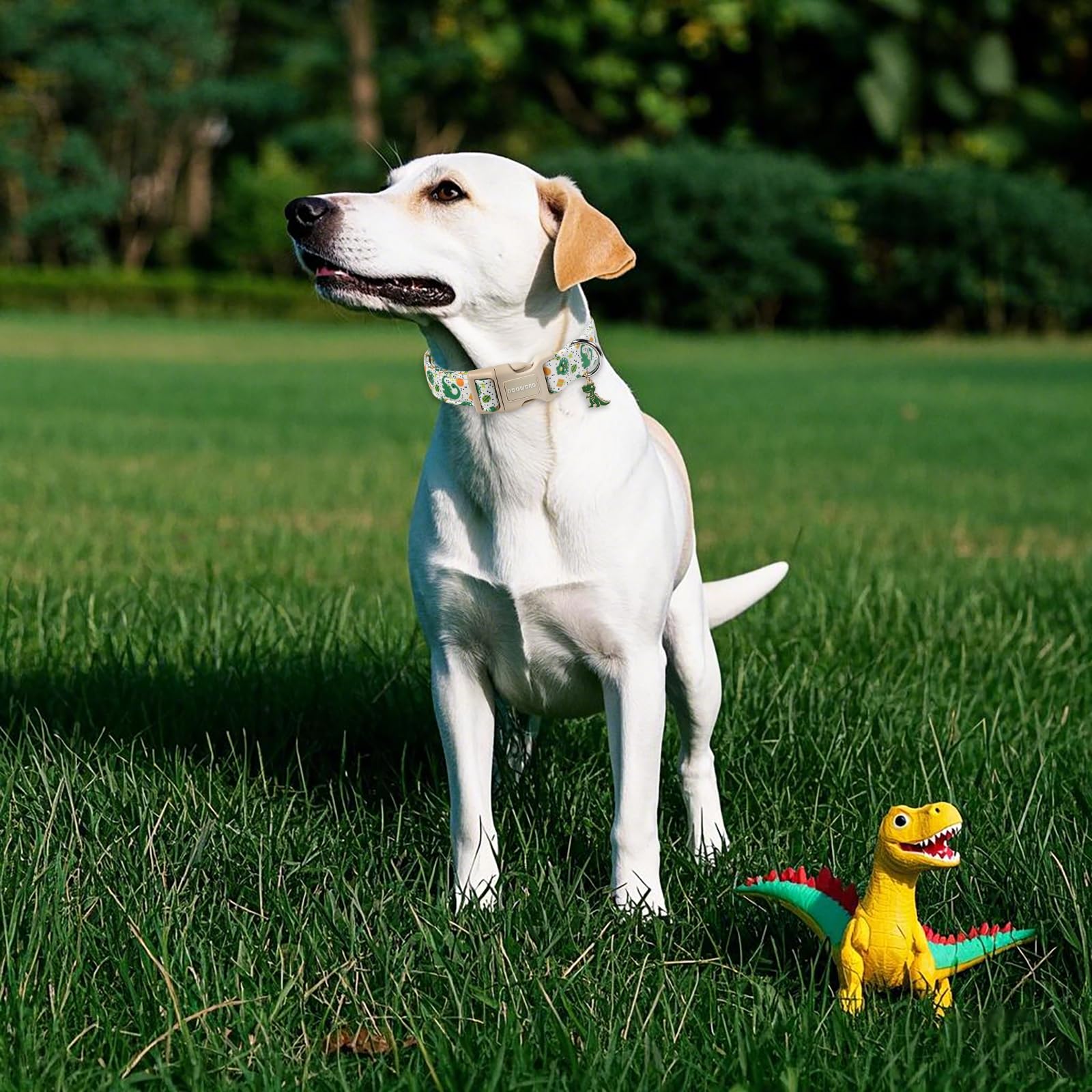 DOGWONG Collar Dinosaur diseño azul añade estilo para cualquier ocasión.