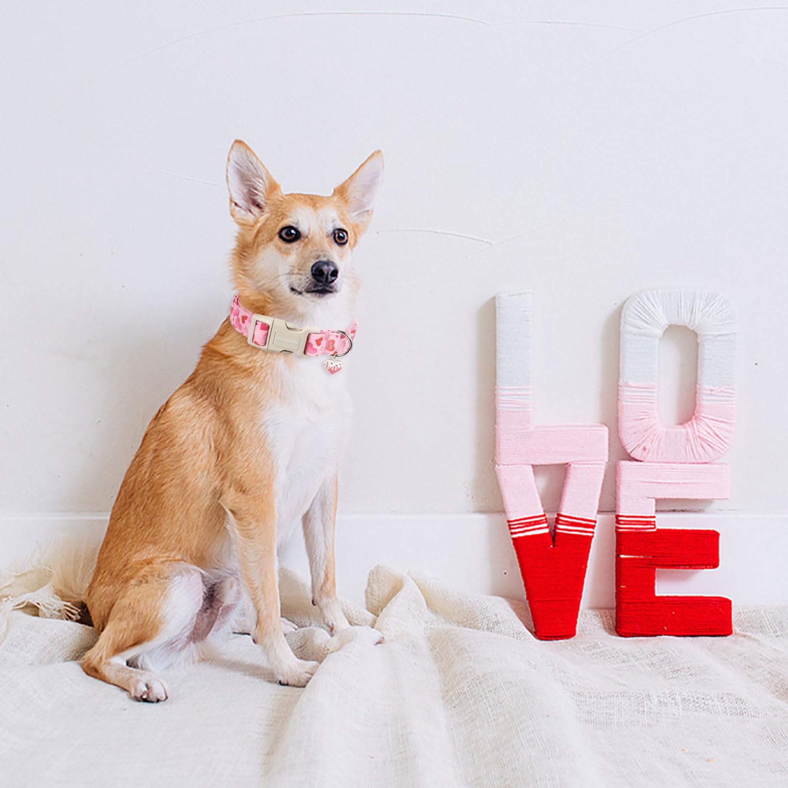 DOGWONG collar diseño único corazón, ideal para mascotas de cualquier raza.