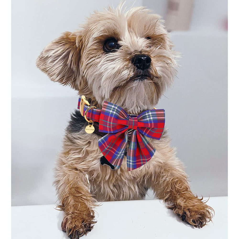 DOGWONG diseño festivo con cuadros rojos, ideal para fiestas y paseos