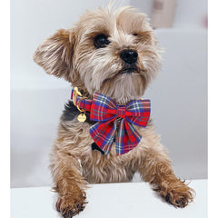 DOGWONG diseño festivo con cuadros rojos, ideal para fiestas y paseos