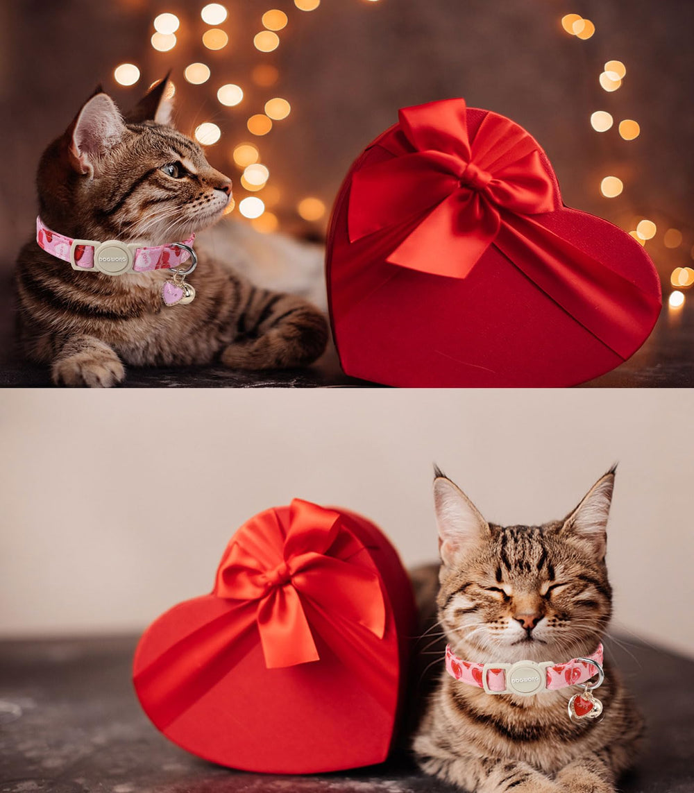 Collar DOGWONG ajustable de 20-30 cm, cómodo para gatos pequeños.