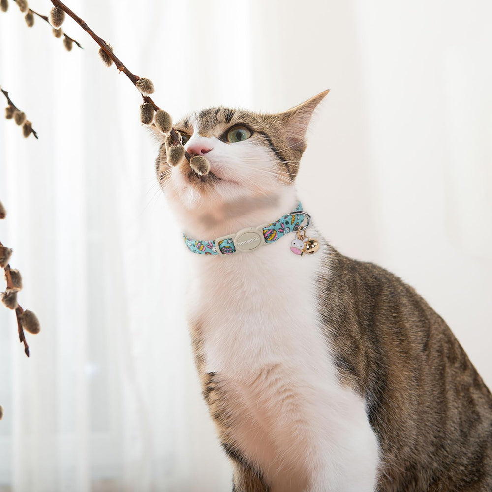 DOGWONG collar algodón premium, material suave para la piel del gato.