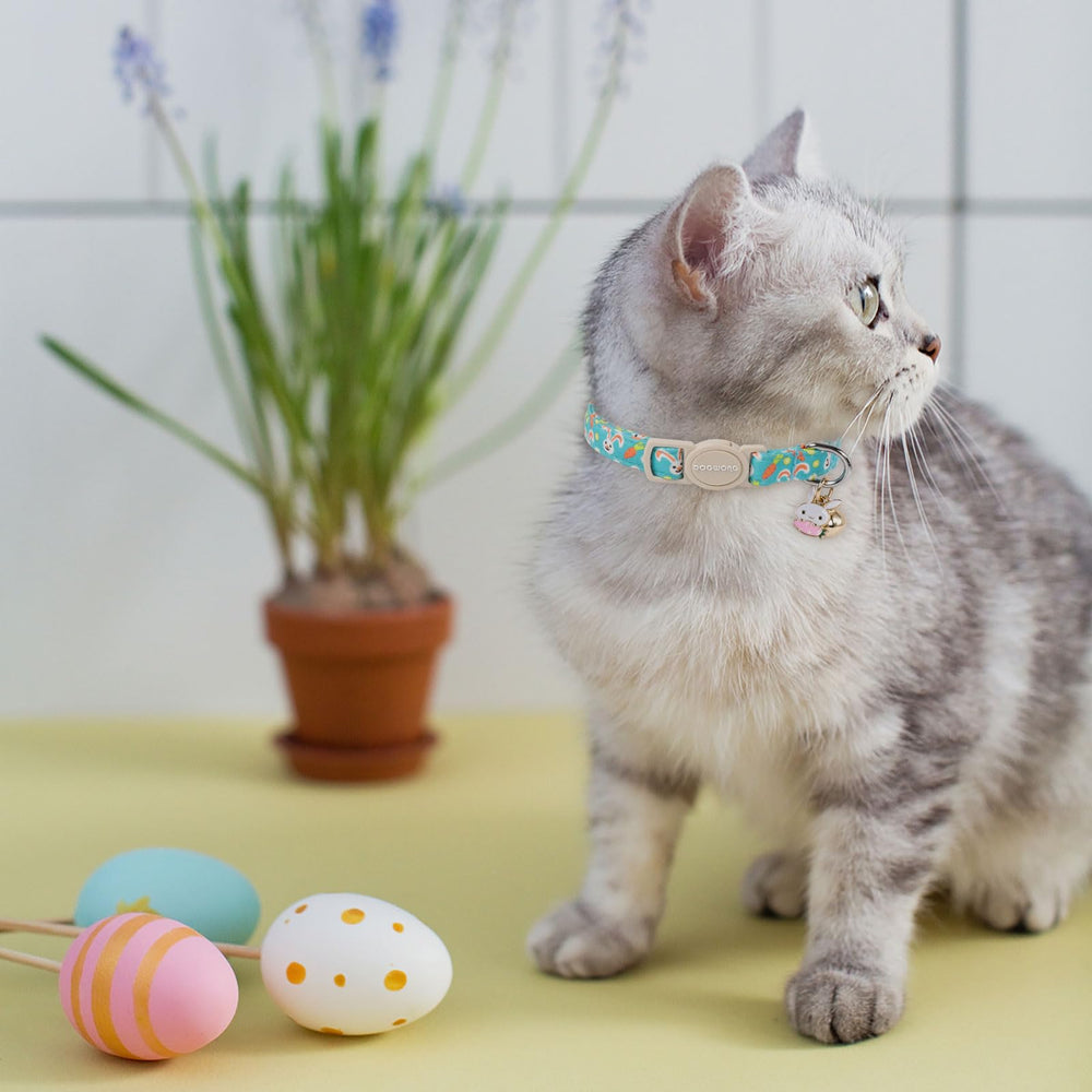 Diseños versátiles de collar DOGWONG para gatos de ambos sexos.