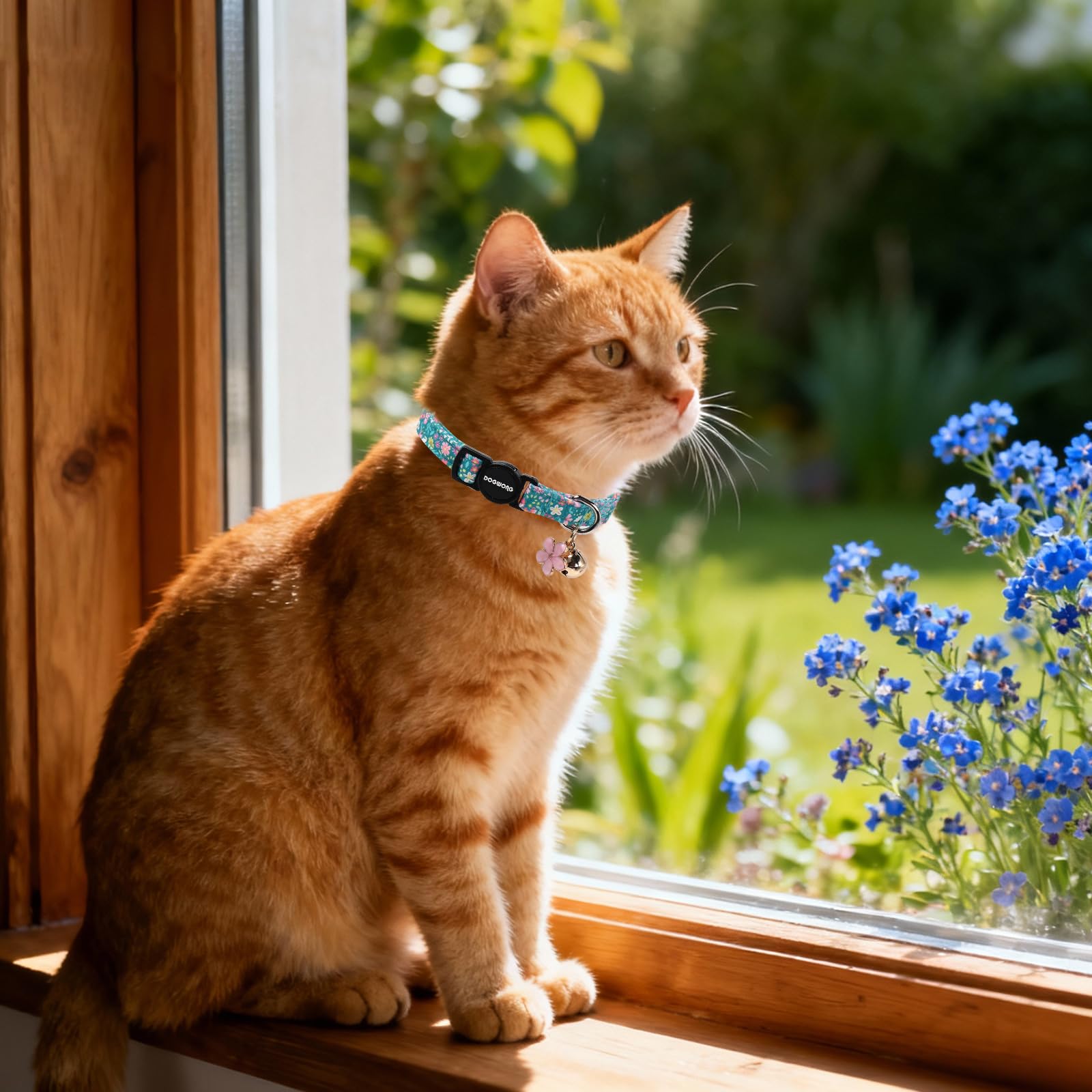 Uso diario DOGWONG collar para gatos y perros pequeños.