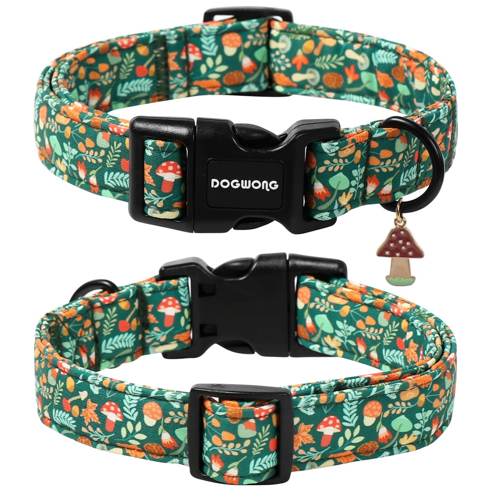 Collar DOGWONG con hebilla de liberación segura para seguridad del perro
