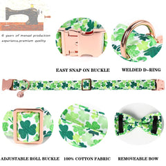 Collar DOGWONG lazo desmontable para personalizar el aspecto.