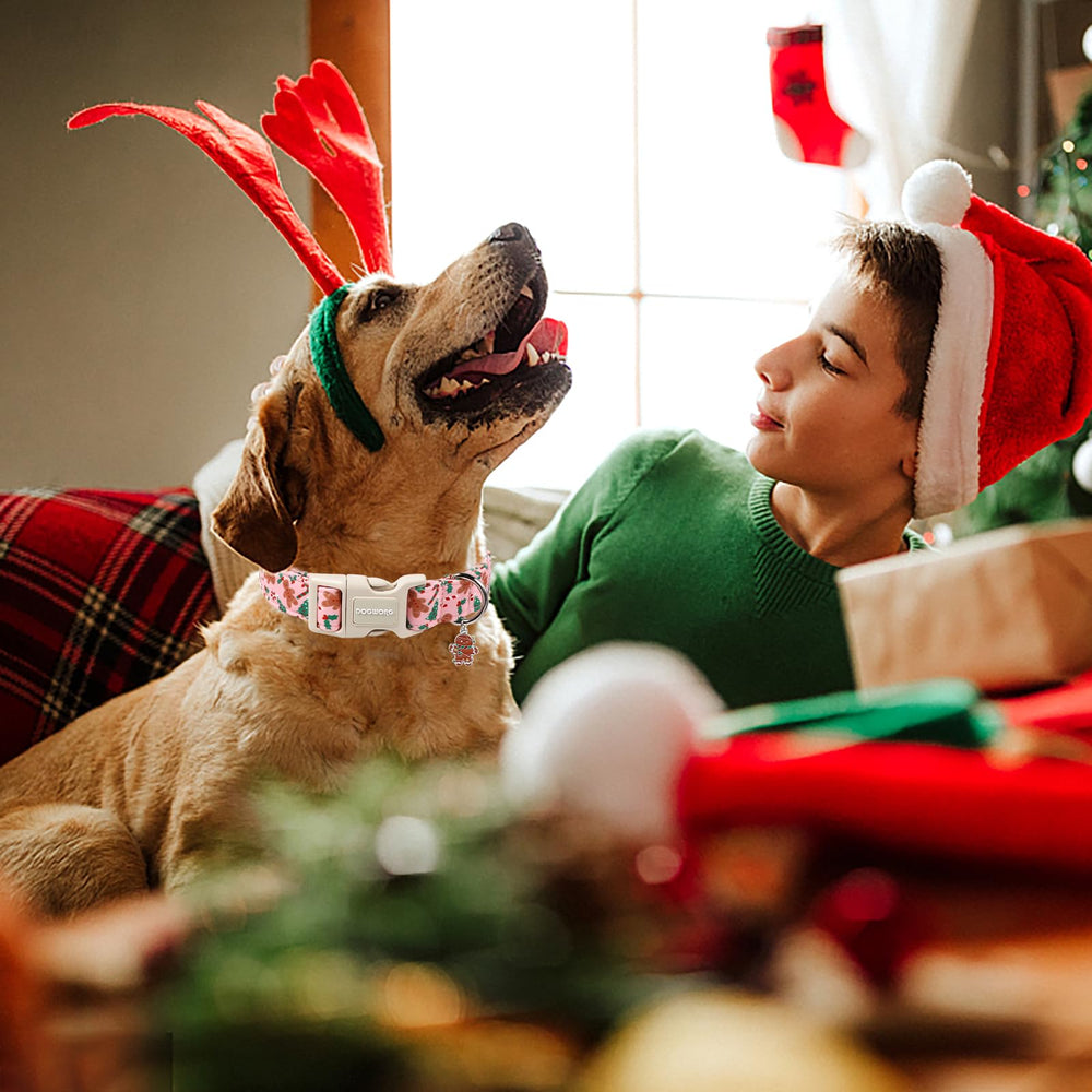 DOGWONG collar navideño con ajuste de cuello para todas las tallas