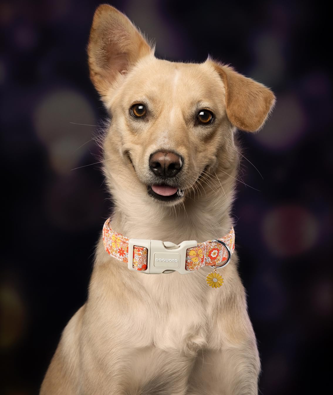 DOGWONG collar floral elegante, complemento ideal para ocasiones especiales.
